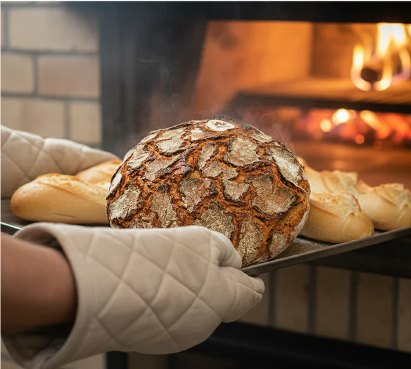 Frisch gebackenes Sauerteigbrot mit goldener Kruste – Handwerksqualität wie aus der Backstube